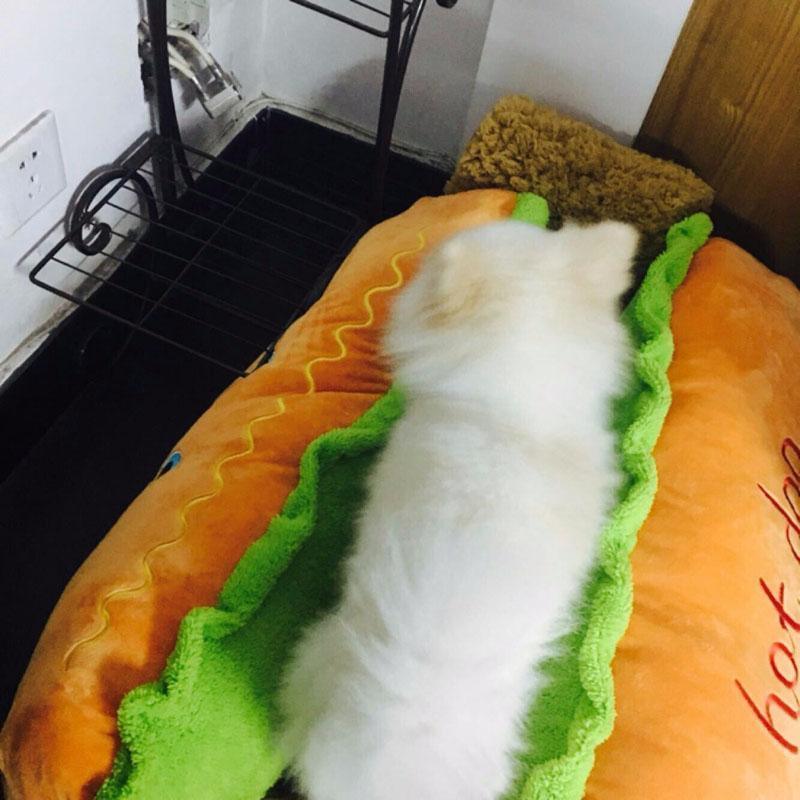 Cama para Pets - Hot Dog - Tododia Lar